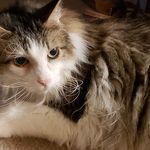 Terry Keefer - @chickatk - Instagram