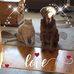 Terri Keene - Facebook