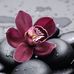 Terry Keene Page - Facebook
