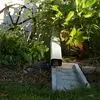 Terry Keesler - @terry.keesler4 - TikTok