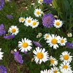 Terry Keesler - @keeslerterry - Instagram