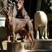 Terry Kellenberger - Facebook
