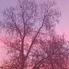 Terrance kellogg - @trkellogg - TikTok