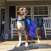 Terry Kellogg963 - @tk862307 - TikTok