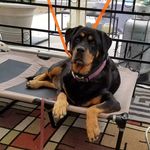Terry Kellogg - @terrykellogg - Instagram