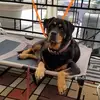 Terry Kellogg - @terry.kellogg - TikTok