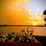 Terry Kellogg - @terrykelloggvzw - Instagram