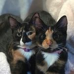 Terry kendall - @terrykendall1 - Instagram