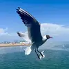 kerry terry - @terrykerry0 - TikTok