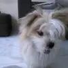 Terry kerry3 - @terrykerry3 - TikTok