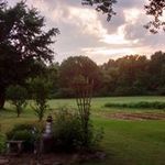 Terry Johnson Kessler - @terryjohnsonkessler - Instagram