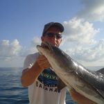 Terry Kessler - @tkinfla - Instagram
