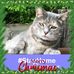 Terry Keyes - Facebook