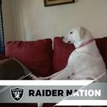 Terry Khan - @terrykhan8260 - Instagram