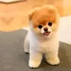 Kind Terry - @kindterry0 - TikTok