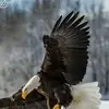 Terry Kinder - @terry.kinder - TikTok