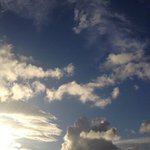 Terri Kinzer - @terrikinzer - Instagram