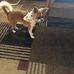 Terri Kinzer - Facebook