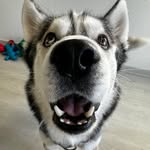 Terry - @terry.kinser - Instagram