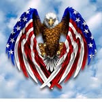 Terry Kipp - @tkipp73 - Instagram