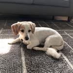 Terry Kipping - @terry.kipping22 - Instagram