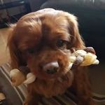 Terry Kirkham - @terry.kirkham.581 - Instagram