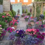 Terry Kirkham - @kirkham_terry - Instagram