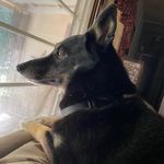 Terry Kirsch Lavin Frey - @terrykirschlavinfrey - Instagram