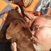 Terry Kissell - Facebook
