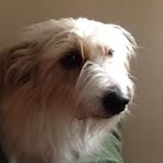 Terry Kitson - Facebook