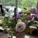 Terri Klein - Facebook