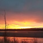 Terry Klein - @kleinterry - Instagram