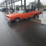 Terry Klein - @toolmanklein - Instagram