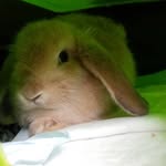 Terry. Klein - @terry.kl - Instagram