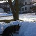 Terry Klinger - Facebook