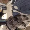 terdog jones - @terry.koehler - TikTok