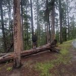 Terri Koehler - @tnaturalkoehler - Instagram