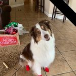 Terri Koehler - @terrikoehler5891 - Instagram