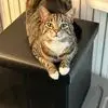 Terri Wise Koehler - @terriwisekoehler - TikTok
