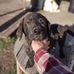Terry Koehler - Facebook
