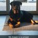 Terry Koehler - Facebook