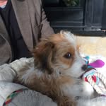 Terry kohler - @terry_kohler - Instagram