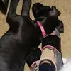 Hailey and yahyah - @terrykohlhoff - TikTok