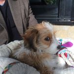 Terry kohler - @terry_kohler - Instagram