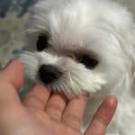 공준혁 - @terry__kong - Instagram