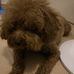 Terry Koon - Facebook
