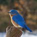 Teresa Korb McIntyre - Facebook
