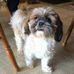 Terry Kovach - Facebook