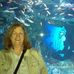 Terry L Kovach - Facebook
