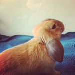 @kralik_terry - Instagram